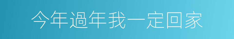今年過年我一定回家的同義詞