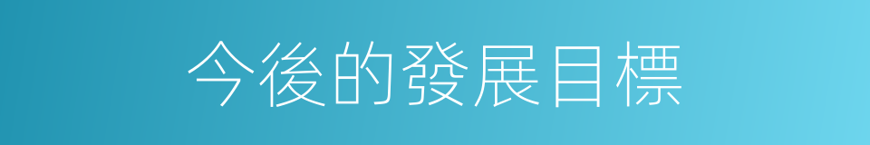 今後的發展目標的同義詞