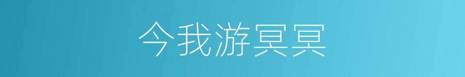 今我游冥冥的同义词