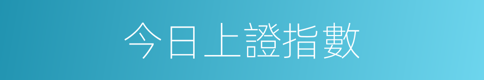 今日上證指數的同義詞