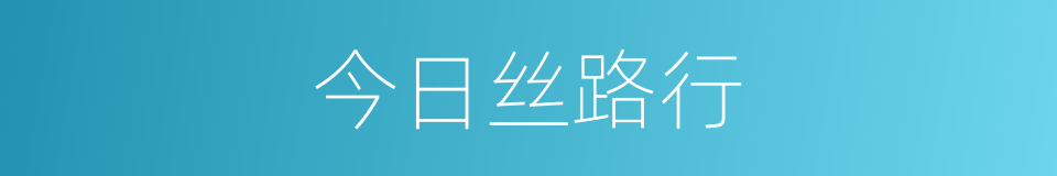 今日丝路行的同义词