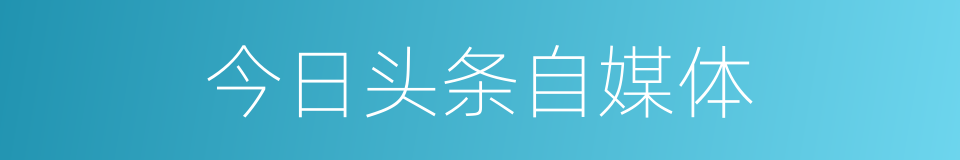 今日头条自媒体的同义词