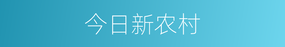 今日新农村的同义词