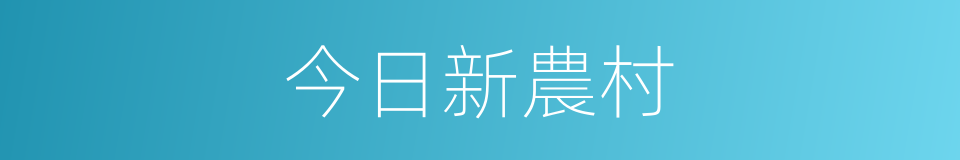 今日新農村的同義詞