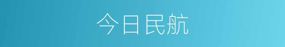 今日民航的同义词