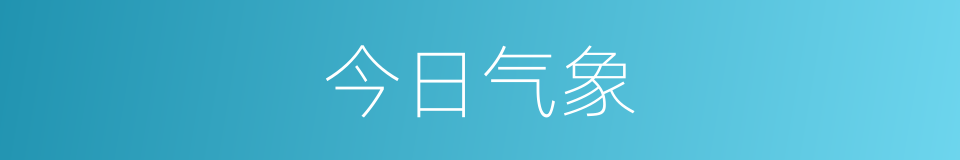 今日气象的同义词