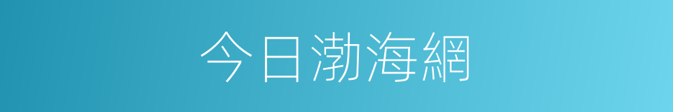 今日渤海網的同義詞