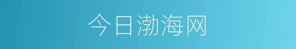 今日渤海网的同义词