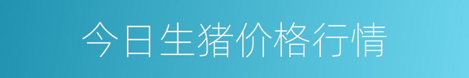 今日生猪价格行情的同义词