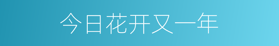 今日花开又一年的同义词