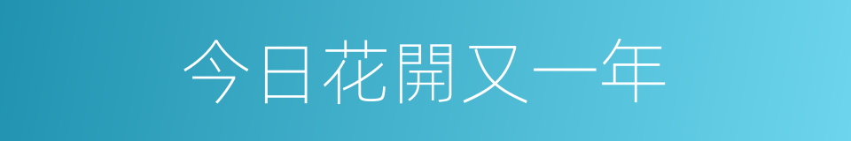 今日花開又一年的同義詞