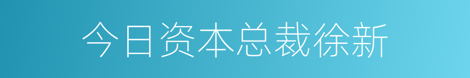 今日资本总裁徐新的同义词