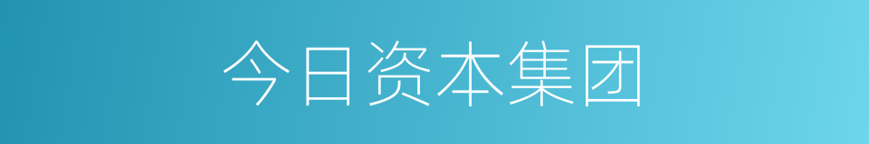 今日资本集团的同义词