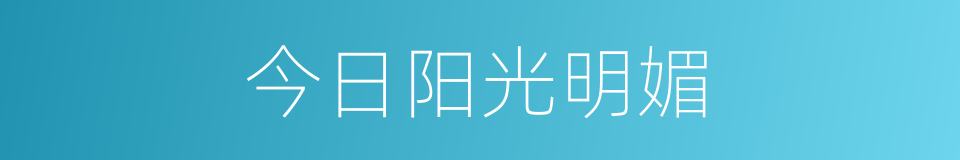 今日阳光明媚的同义词