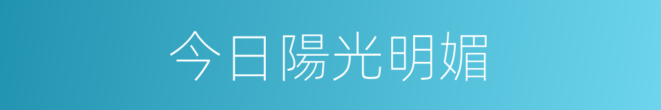 今日陽光明媚的同義詞