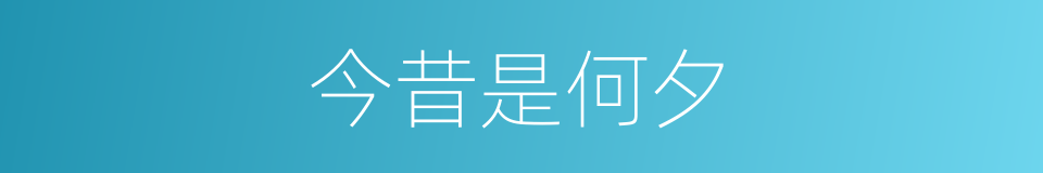 今昔是何夕的同义词