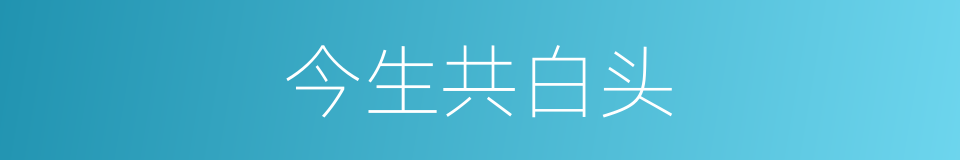 今生共白头的同义词