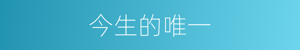 今生的唯一的同义词