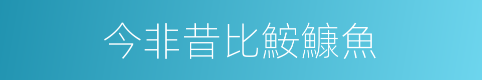 今非昔比鮟鱇魚的同義詞