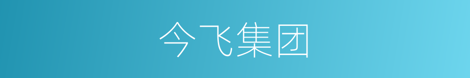 今飞集团的同义词
