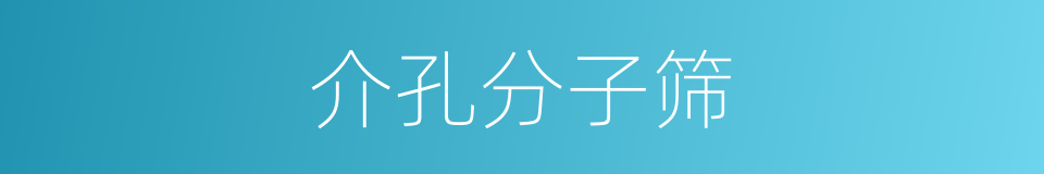 介孔分子筛的同义词