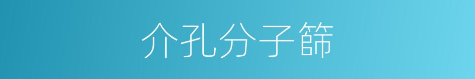 介孔分子篩的同義詞