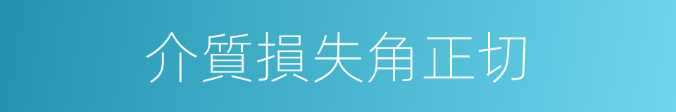 介質損失角正切的同義詞