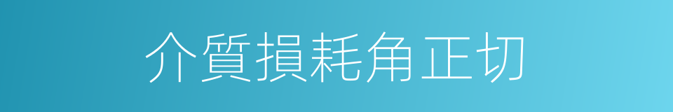 介質損耗角正切的同義詞