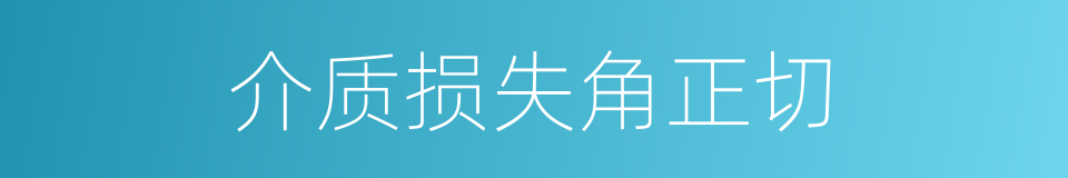 介质损失角正切的同义词