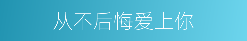 从不后悔爱上你的同义词