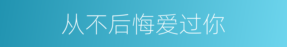 从不后悔爱过你的同义词