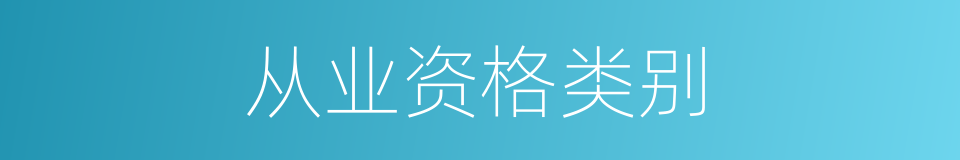 从业资格类别的同义词
