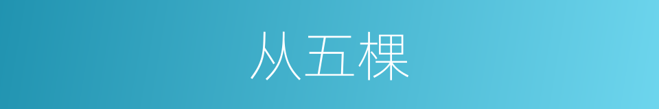 从五棵的同义词