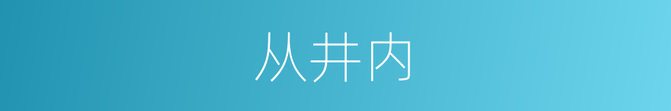 从井内的同义词