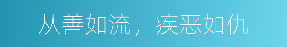 从善如流，疾恶如仇的同义词