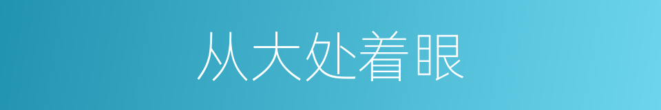 从大处着眼的同义词