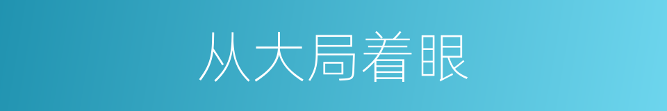 从大局着眼的同义词