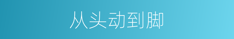 从头动到脚的同义词