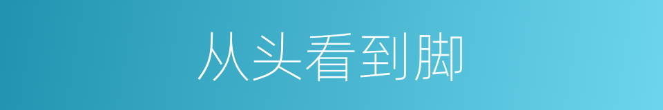 从头看到脚的同义词