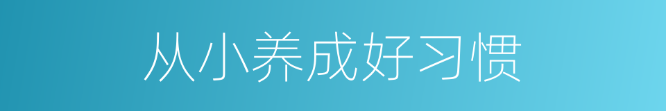 从小养成好习惯的同义词