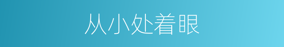 从小处着眼的同义词