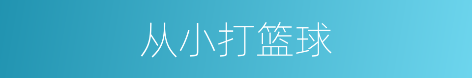 从小打篮球的同义词