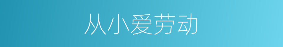 从小爱劳动的同义词