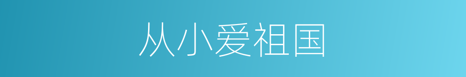 从小爱祖国的同义词