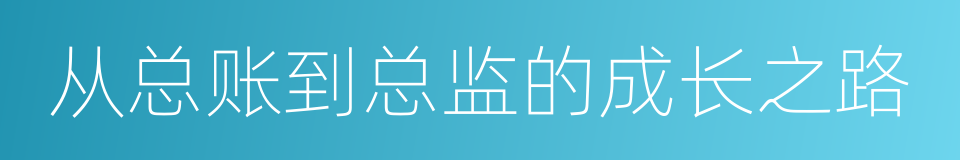 从总账到总监的成长之路的同义词