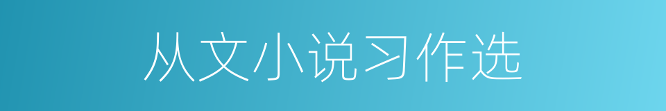 从文小说习作选的同义词