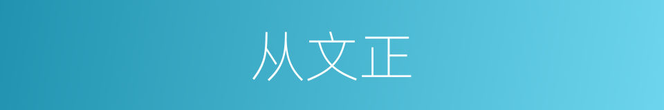 从文正的同义词