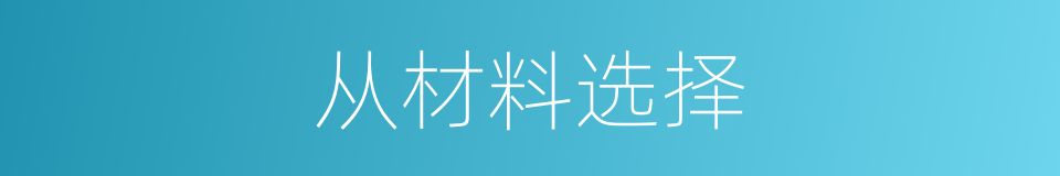 从材料选择的同义词