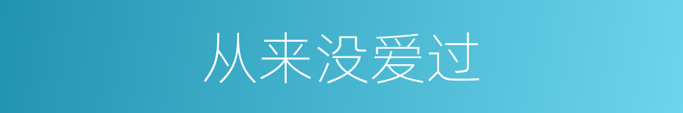 从来没爱过的同义词