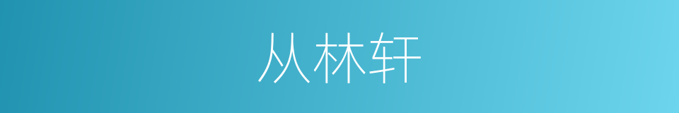 从林轩的同义词